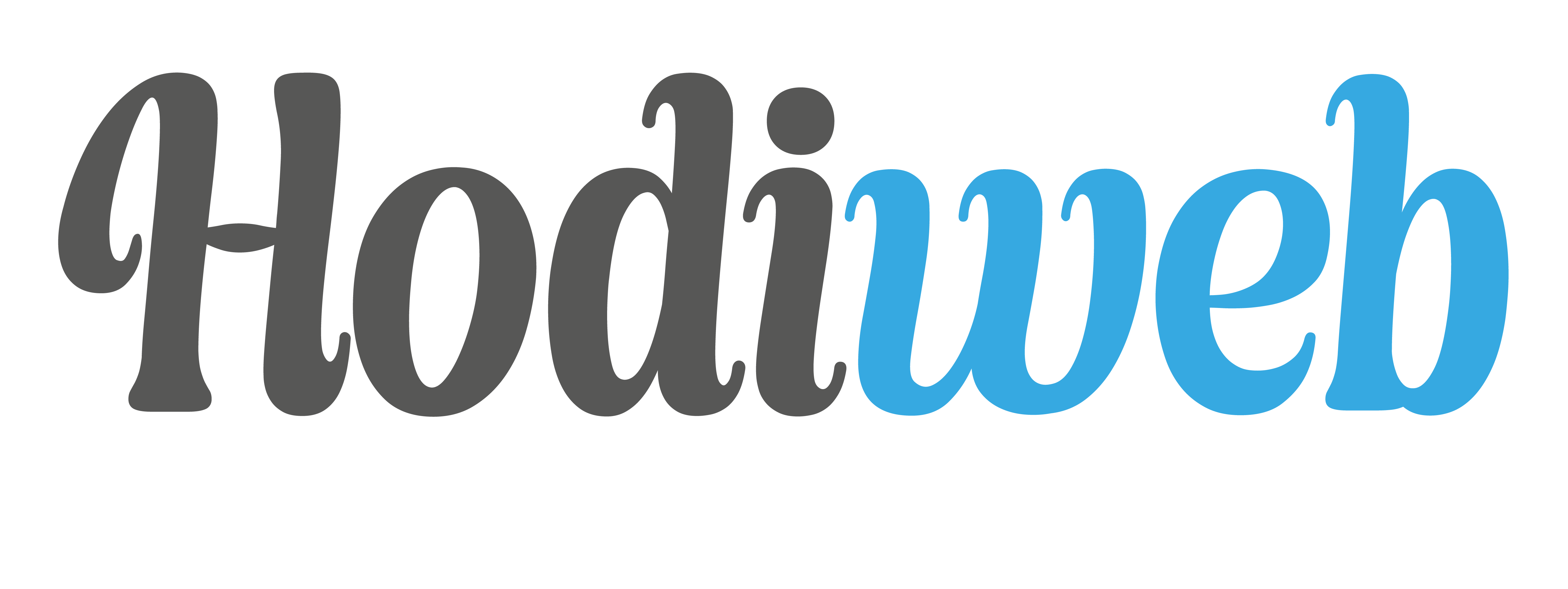 HodiWeb - Agence Web Professionnelle